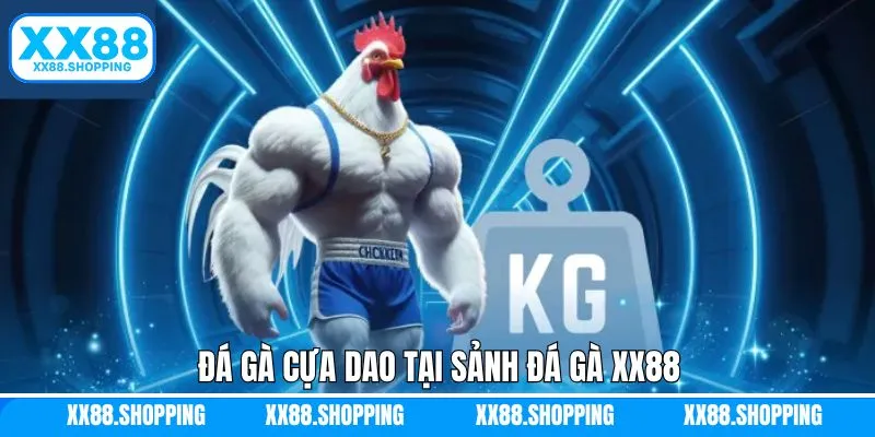 Trải nghiệm cá cược hấp dẫn với chọi kê cựa dao Trải nghiệm cá cược hấp dẫn với chọi kê cựa dao