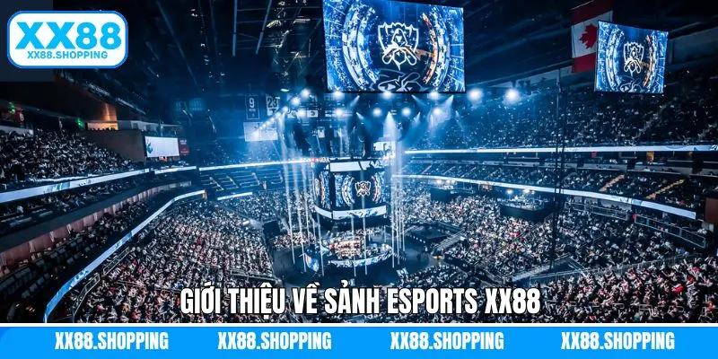 Sức hút đỉnh cao của thể thao điện tử Sức hút đỉnh cao của thể thao điện tử