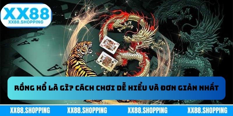 Rồng Hổ Là Gì? Cách chơi dễ hiểu và đơn giản nhất