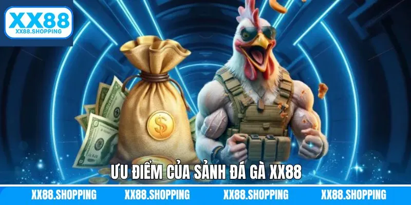 Những điểm mạnh khiến đá gà XX88 trở nên thu hút Những điểm mạnh khiến đá gà XX88 trở nên thu hút
